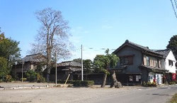 丸山酒造および丸山酒店